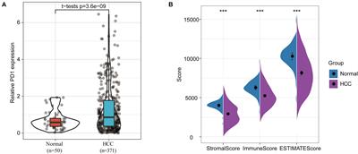 Combined DNA Methylation and Transcriptomic Assessments to Determine a Prognostic Model for PD-1-Negative Hepatocellular Carcinoma